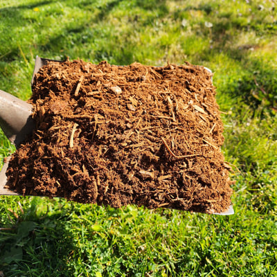 Bark Dust Image