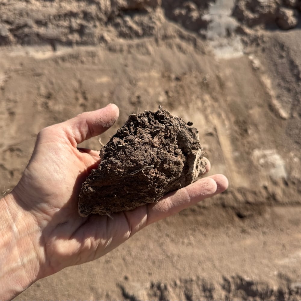 Tail & Track Building Soil (Clay Heavy)