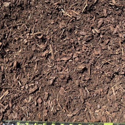 Dark Fine Hemlock Image