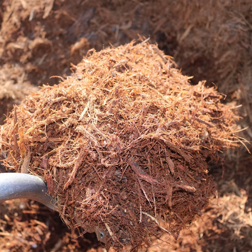 Double Shredded Red Oak