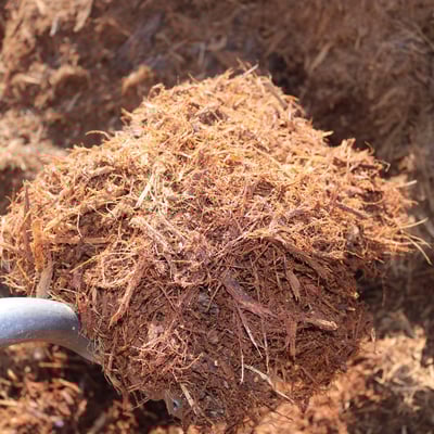 Double Shredded Red Oak Image