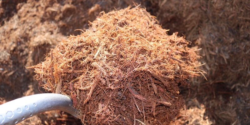 Double Shredded Red Oak