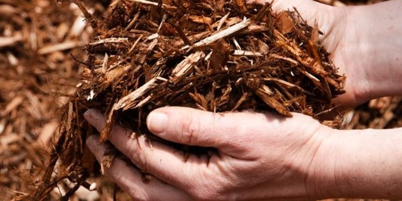 Mulch, Western Red Cedar - Bulk