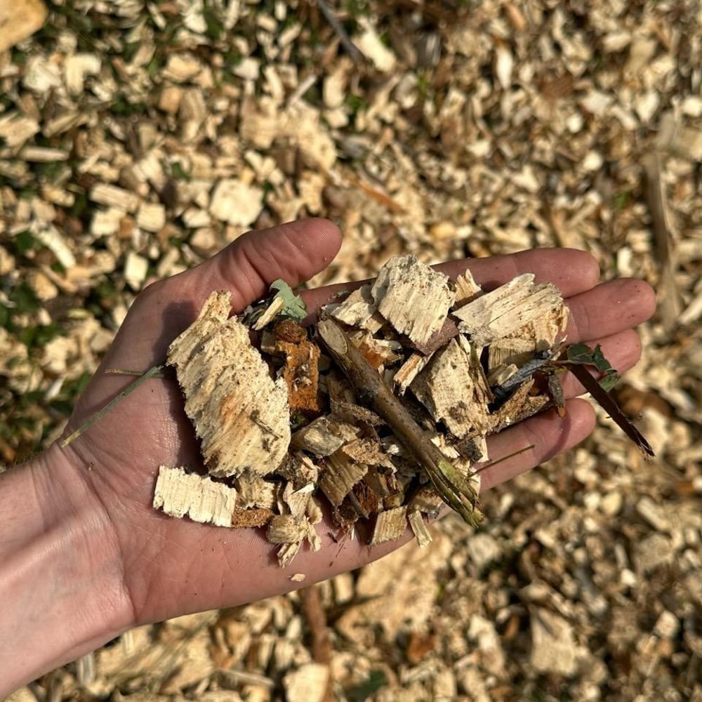 Image showing the texture and scale of arborist wood chips with a hand for scale.