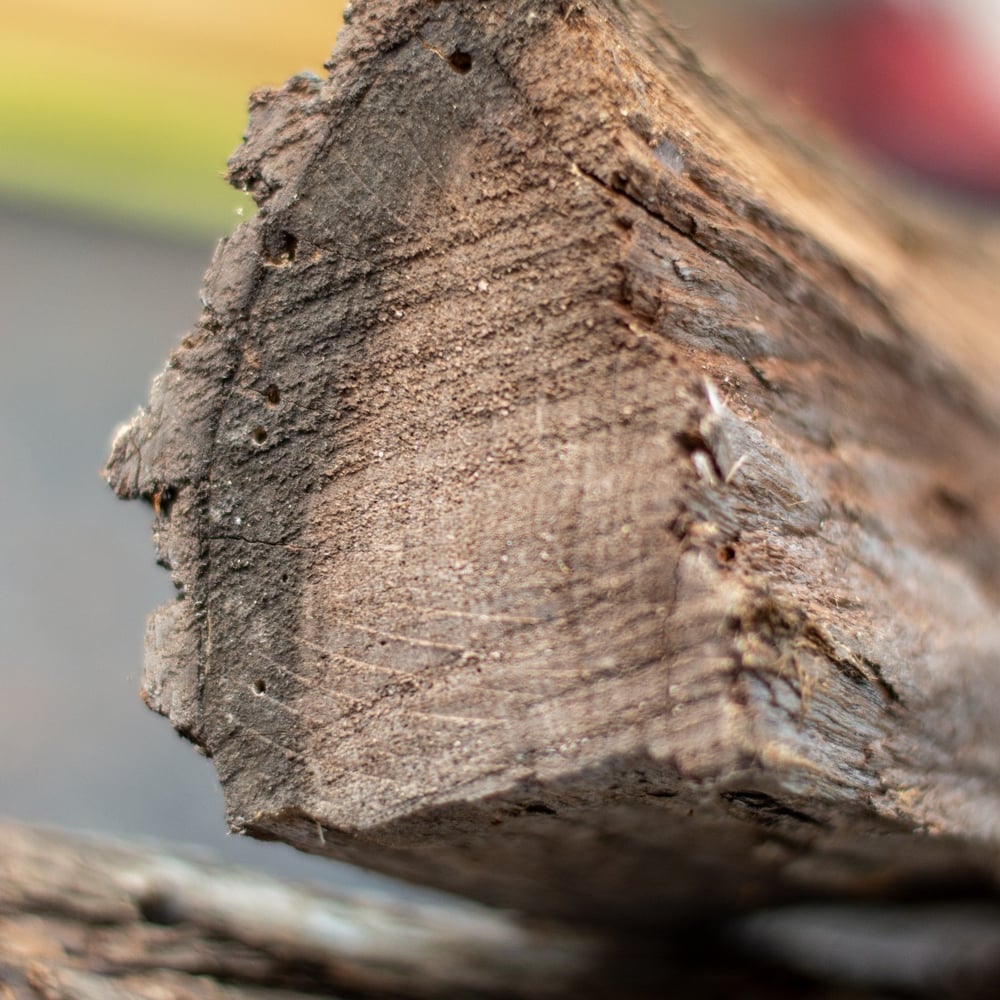 01 - Premium Kiln Dried Mesquite Firewood