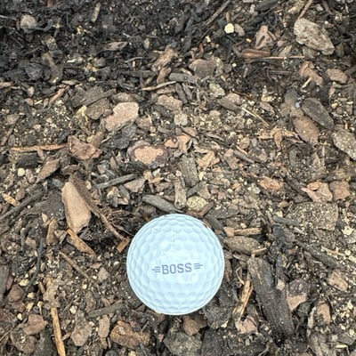 BOSS Garden Blend