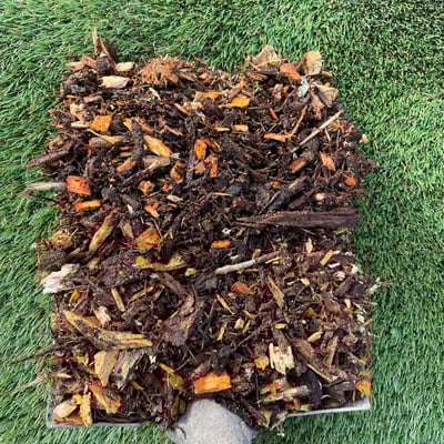 Peninsula Forest Mulch