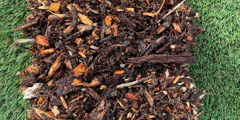 Peninsula Forest Mulch