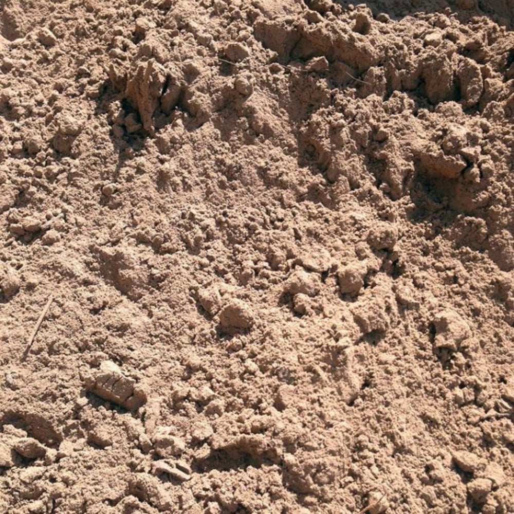 Soil - Sandy Loam