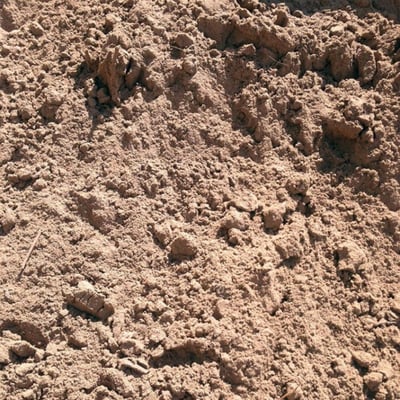 Soil - Sandy Loam