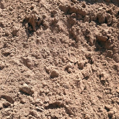 Soil - Sandy Loam Lawn Soil Image