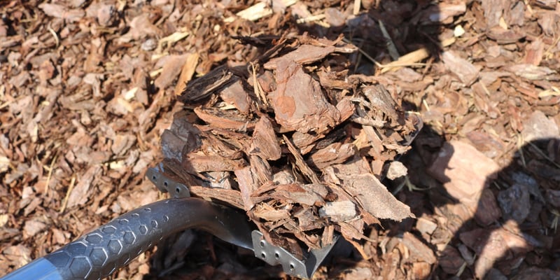 Large Pine Bark Nuggets