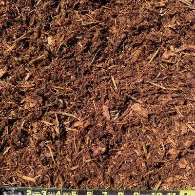 Fresh Ground Fir Image