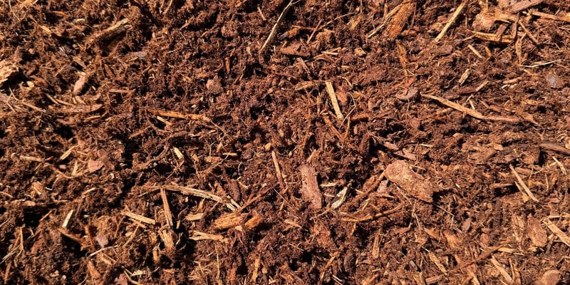 Fresh Ground Fir
