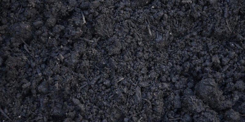 Compost – Aged And Screened
