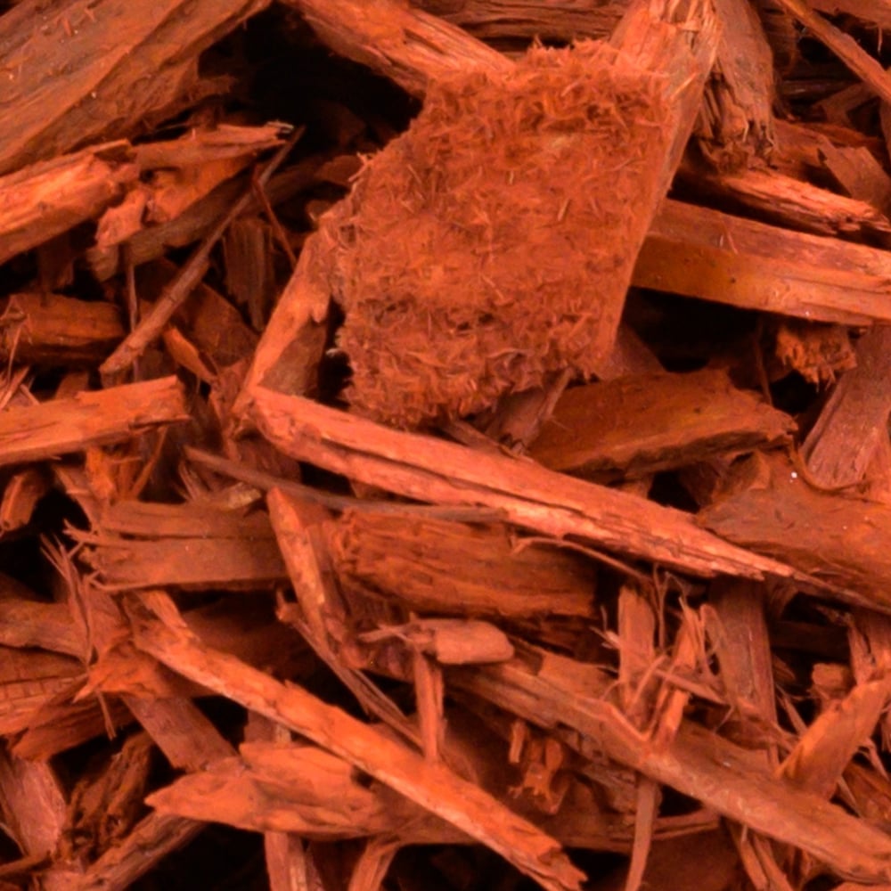 Red Dyed Mulch