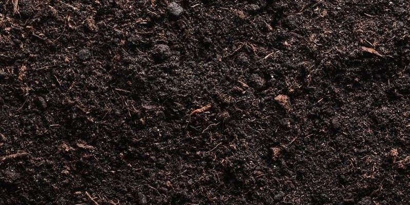 Compost