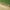 Coping Brown 2-3"x16" Wide (#60-16BR)