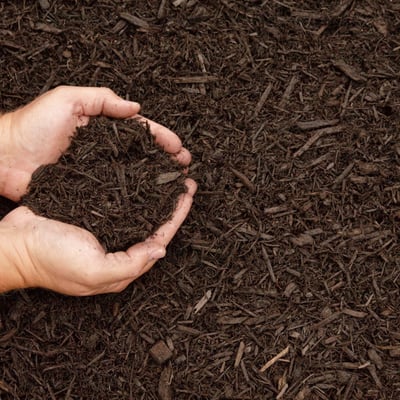 Brown Mulch