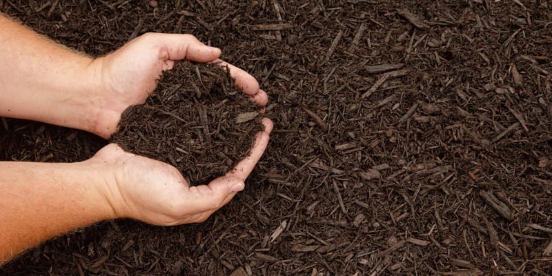 Brown Mulch