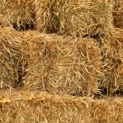 Wheat Straw Image
