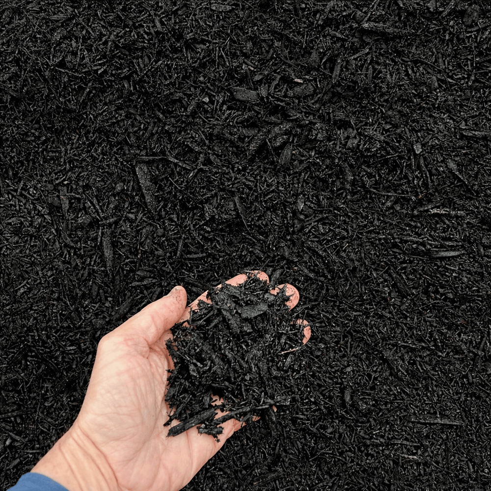 DYED BLACK MULCH