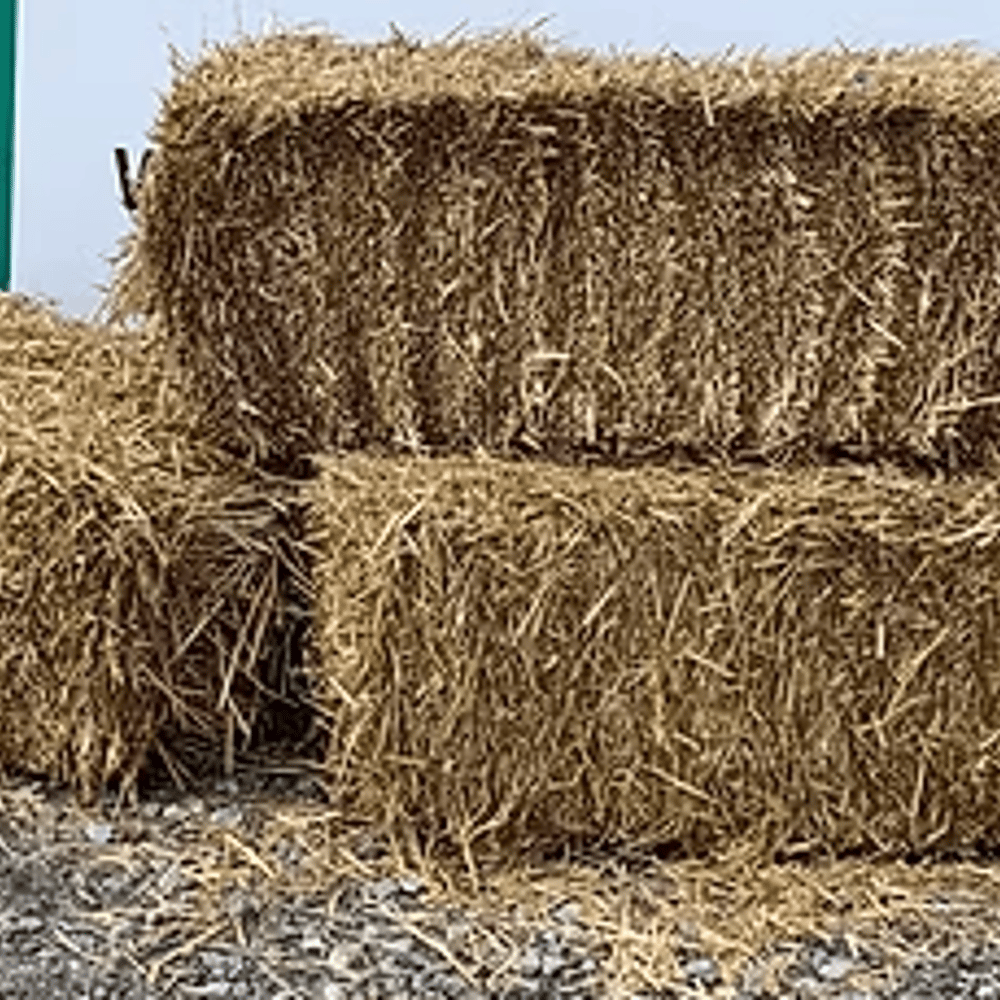Straw Bale