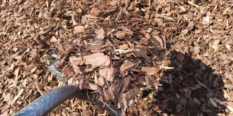 Mini Pine Bark Nuggets