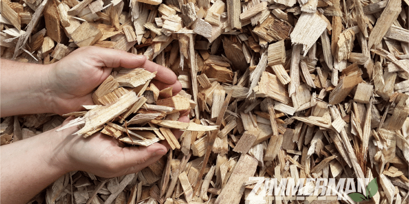 Clean Wood Chips