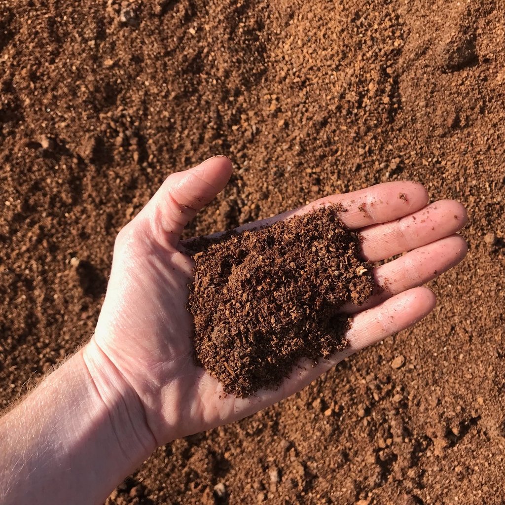 Overhead view of an orange-ish pile of mushroom compost with a hand holding material for scale.