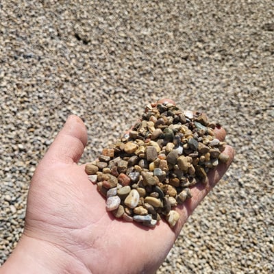 Pea Stone (3/8"-1/2") Image