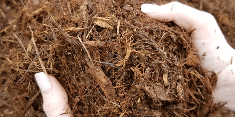 Double Shredded Red Oak