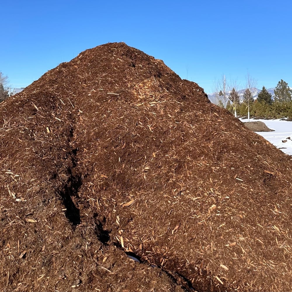 Shredded Western Cedar