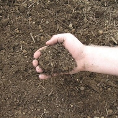 Garden Soil
