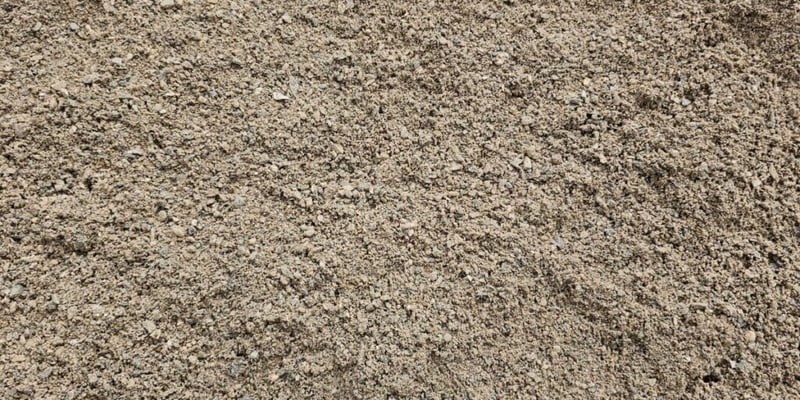 Chips n Dust
