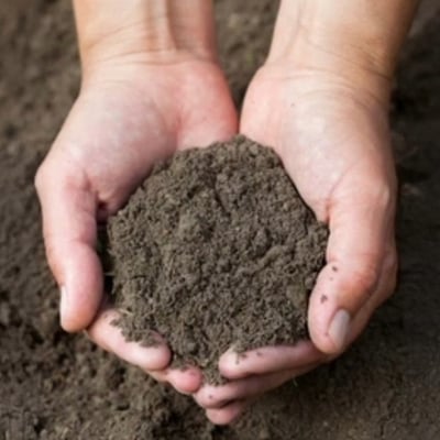 Divot Mix, (Special Order. Please Call.) Image