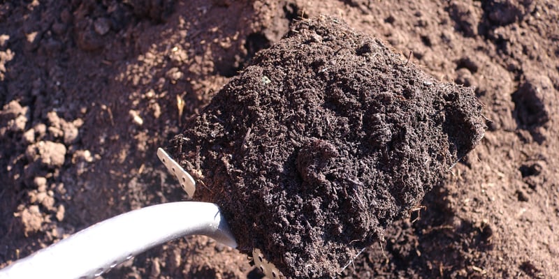 Metrolina Blend (Mushroom Compost)