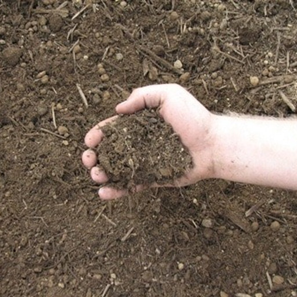 Soils