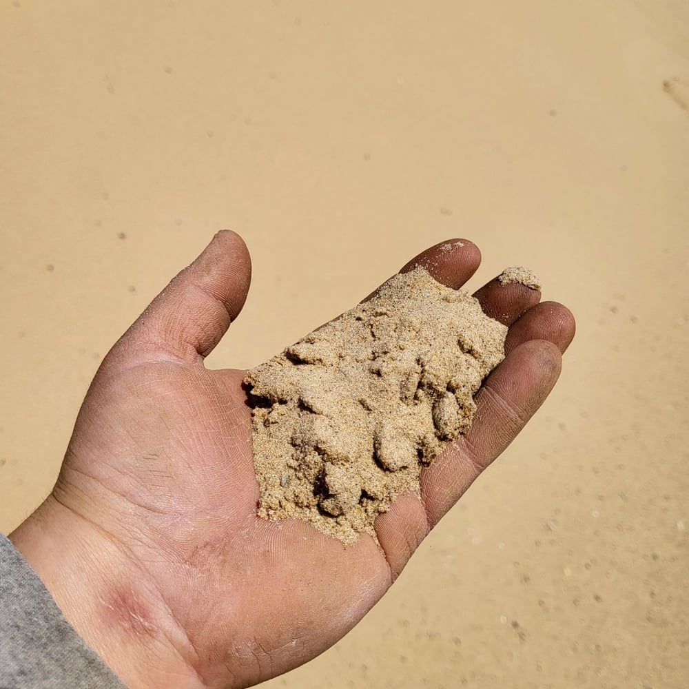 Screened beach sand