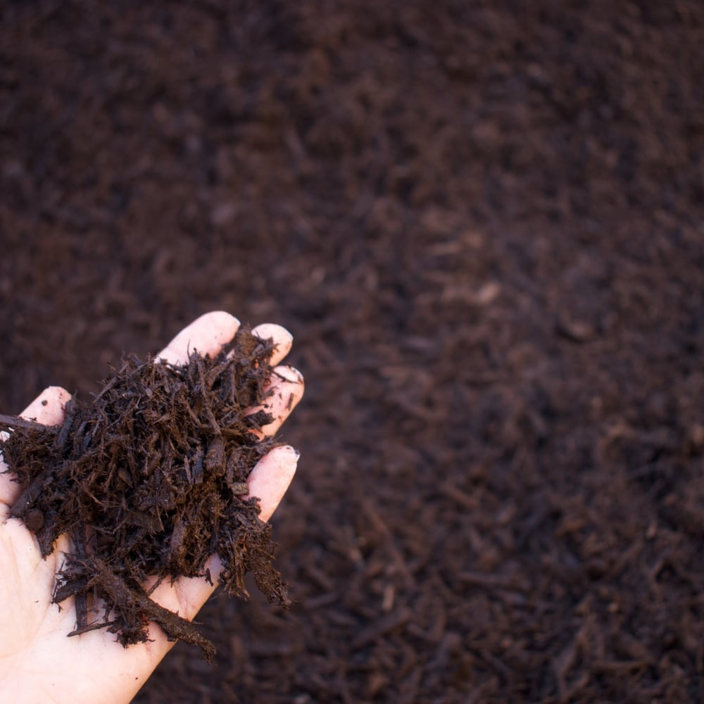 Black Dyed Double Shredded Hardwood Bark Mulc Copy