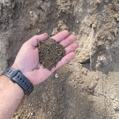 Loam (1/2" Screened)