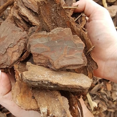 Large Pine Bark Nuggets Image