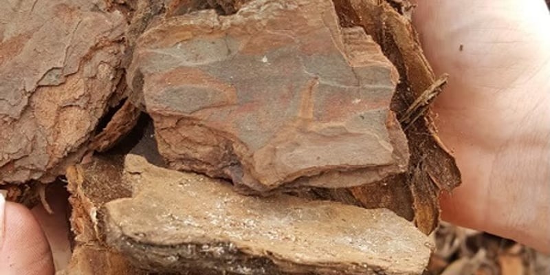 Large Pine Bark Nuggets