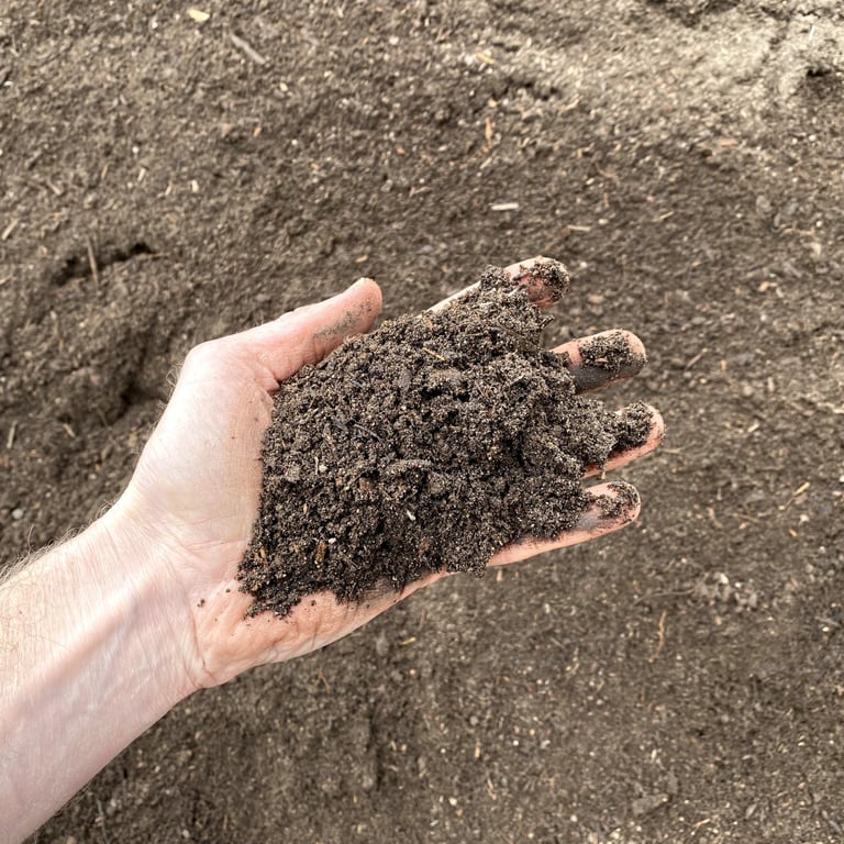View of an organic soil texture, showing soil amendments with a hand for scale.