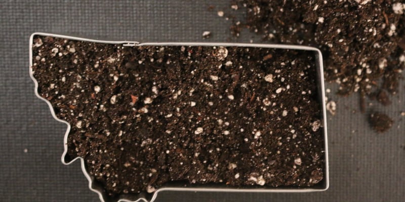 RMC Potting Soil