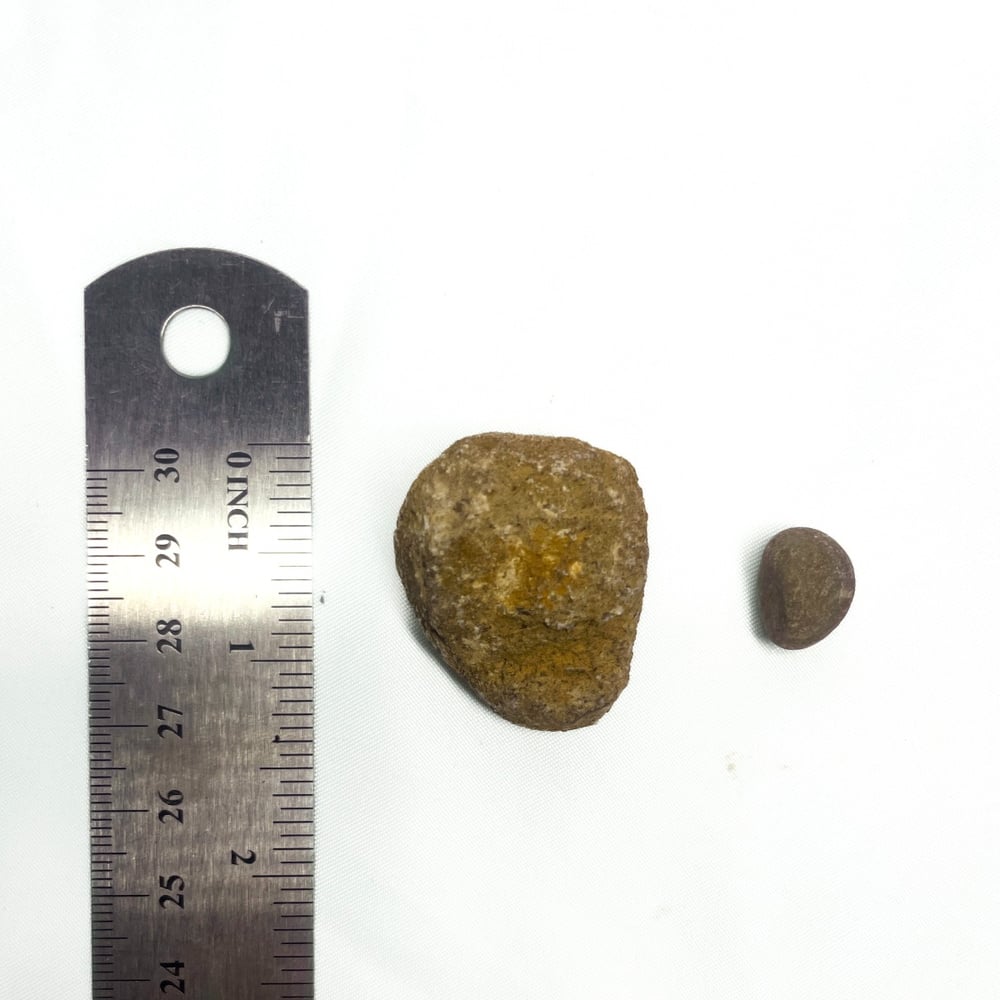 #6 Brown Small River Rock