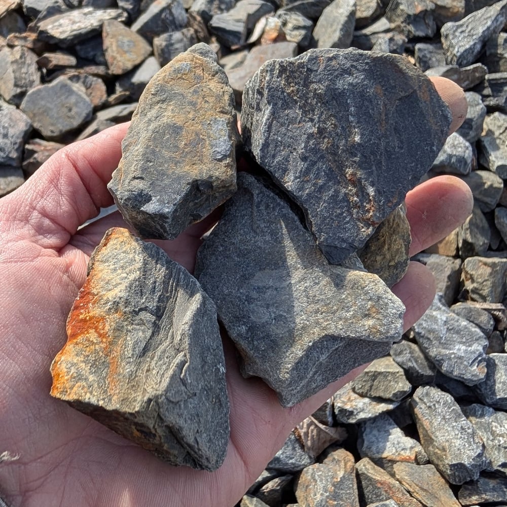 Striker Shale - Landscape Rock (2.5" Clear)