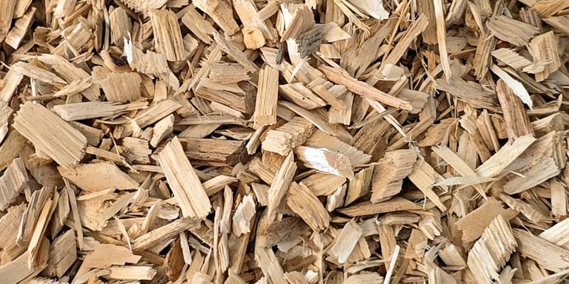 Playground Chips (playsafe)