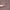 Red Stone (3/4")
