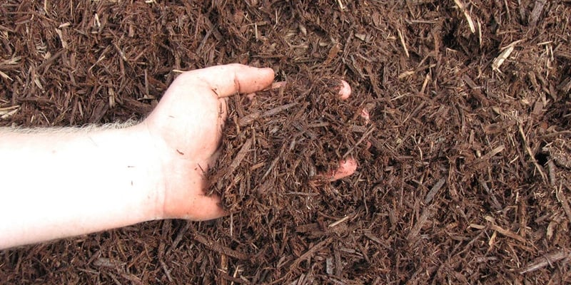 Brown Dyed Mulch